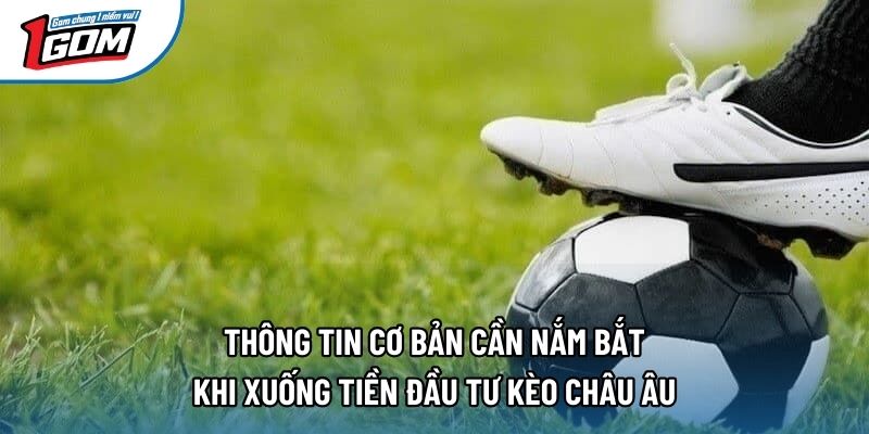 Thông tin cơ bản cần nắm bắt khi xuống tiền đầu tư kèo châu Âu