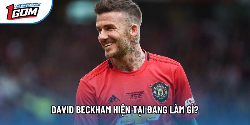 David Beckham hiện tại đang làm gì?