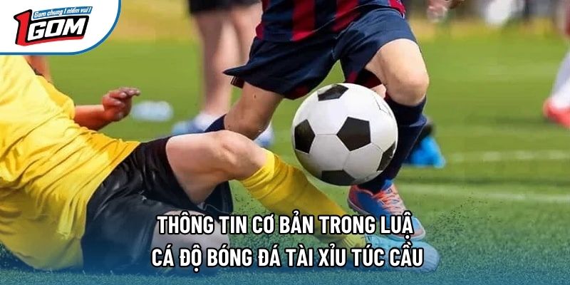 Thông tin cơ bản trong luật cá độ bóng đá tài xỉu túc cầu