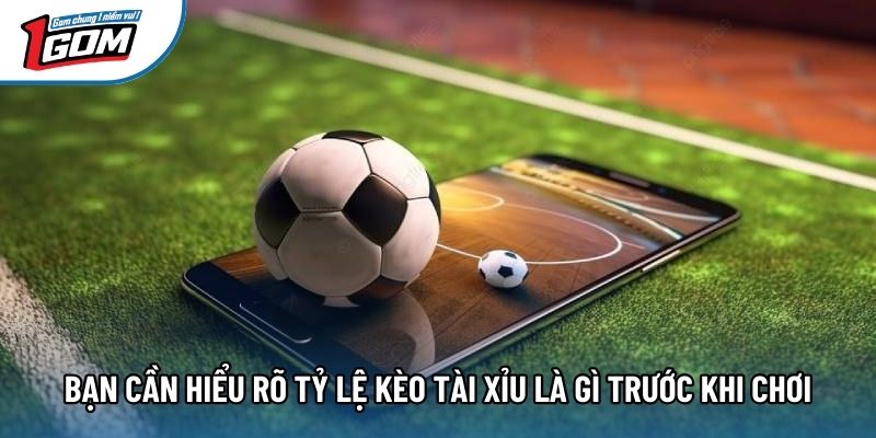 Bạn cần hiểu rõ tỷ lệ kèo tài xỉu là gì trước khi chơi