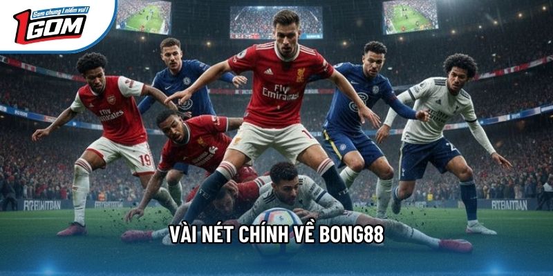 Vài nét chính về bong88